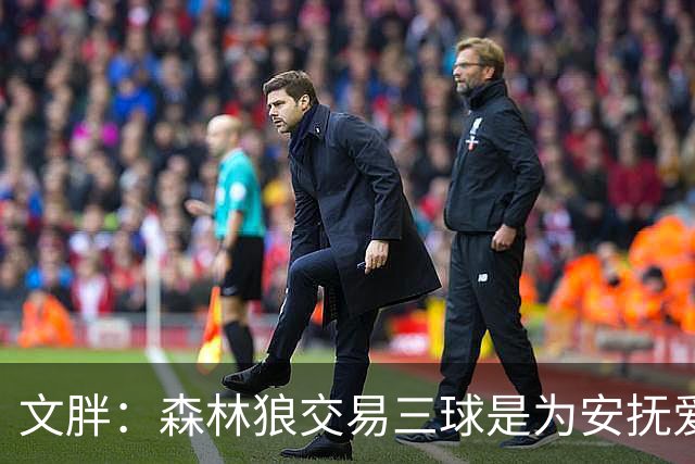 文胖：森林狼交易三球是为安抚爱德华兹 他一赛季被包夹近1000次